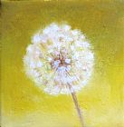 Unknown white dandelion on yellow painting
